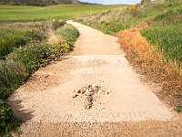 SJC 2019 - 1476 : LensTagger
