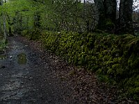 SJC 2019 - 1261 : LensTagger