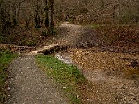 SJC 2019 - 1276 : LensTagger