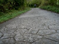SJC 2019 - 1287 : LensTagger
