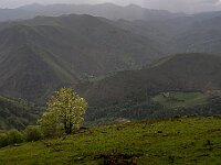 SJC 2019 - 1203 : LensTagger