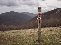 SJC 2019 - 1240 : LensTagger