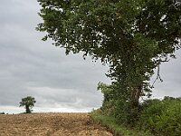Orthez - Hagetnau