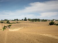 SJC 2024 - 2332