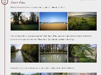 Blog 12