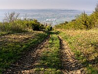 SJC 2019 - 0564 : LensTagger