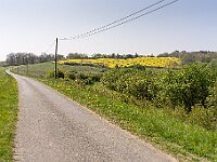 SJC 2019 - 0585 : LensTagger