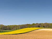 SJC 2019 - 0648 : LensTagger