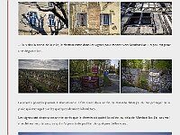 Blog 8