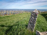 SJC 2019 - 0354 : LensTagger