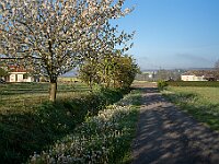 SJC 2019 - 0441 : LensTagger