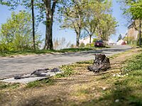 SJC 2019 - 0469 : LensTagger