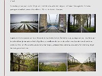 Blog 11