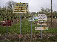 SJC 2019 - 0491 : LensTagger