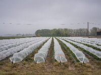 SJC 2019 - 0495 : LensTagger