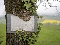 SJC 2019 - 0528 : LensTagger