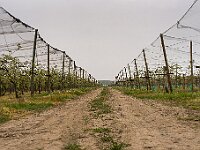 SJC 2019 - 0548 : LensTagger