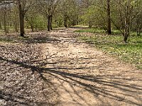 SJC 2019 - 0312 : LensTagger