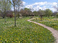 SJC 2019 - 0314 : LensTagger