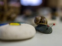 SJC 2019 - 0265 : LensTagger