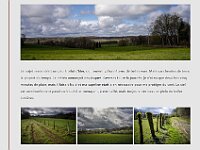 Blog 3