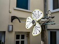 SJC 2019 - 0163 : LensTagger