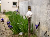 SJC 2019 - 0168 : LensTagger