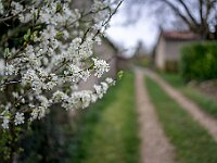 SJC 2019 - 0213 : LensTagger