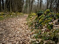 SJC 2019 - 0221 : LensTagger