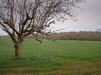 SJC 2019 - 0227 : LensTagger