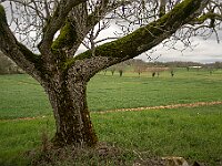 SJC 2019 - 0184 : LensTagger
