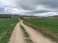 SJC 2019 - 0195 : LensTagger