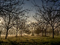 Perigord - Lot et Garonne (2019)